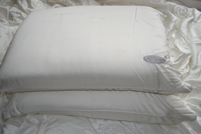 Memory Foam and  Silk Pillow