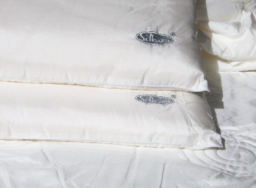 100% Pure Silk Pillow (50*70cm) 